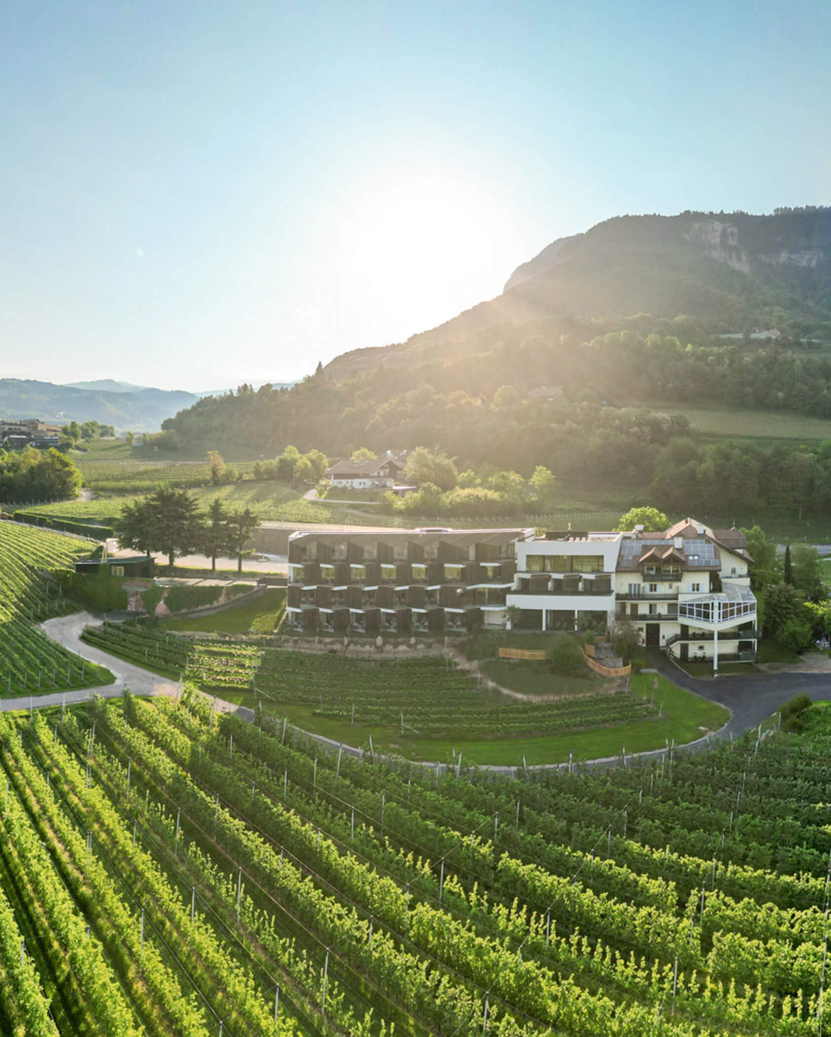 Un hotel moderno circondato da verdi vigneti con le montagne sullo sfondo al sorgere del sole. - Hotel Tenz